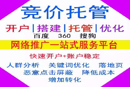 成功SEM推广竞价案例分享